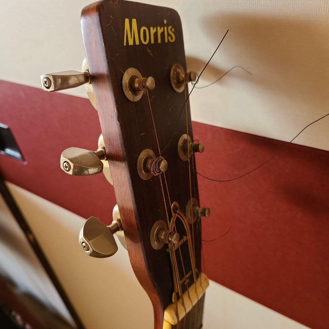 Morris アコースティックギター ドレッドノート