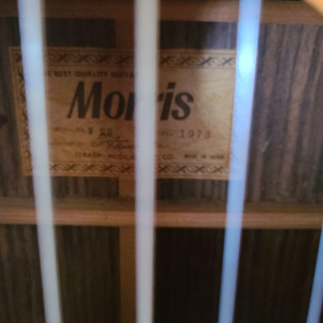 Morris アコースティックギター ドレッドノート