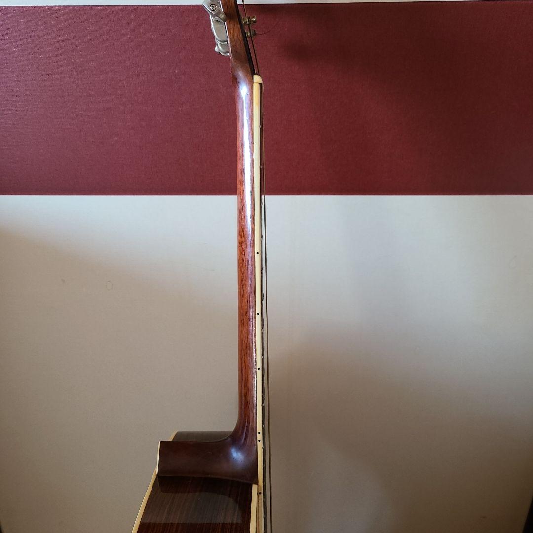 Morris アコースティックギター ドレッドノート