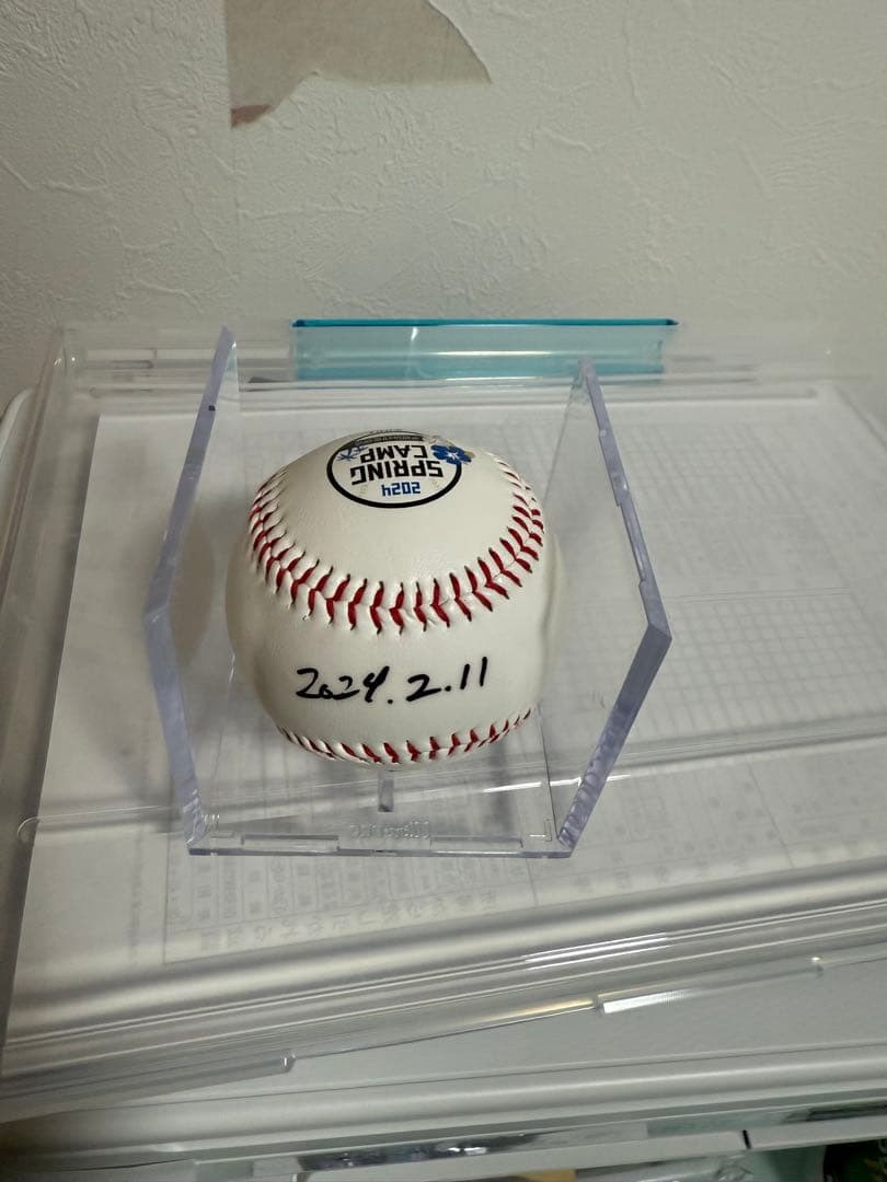 直筆サイン入り2024春季キャンプボール　伊藤大海　貴重！最多勝！最高勝率！二冠