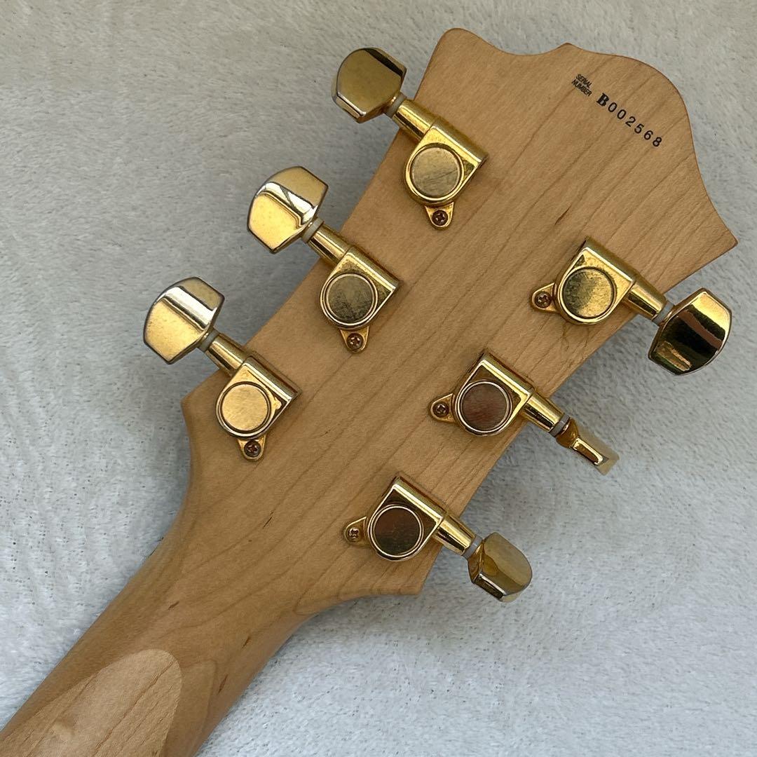 B.C.Rich モッキンバード Mocking Bird トラ杢 ①