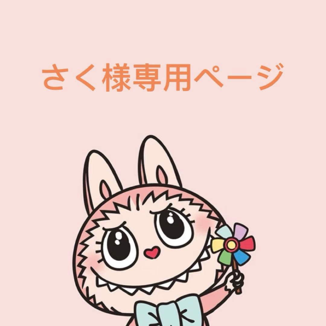 正規品ラブブ THE MONSTERS Big into Energy 2点