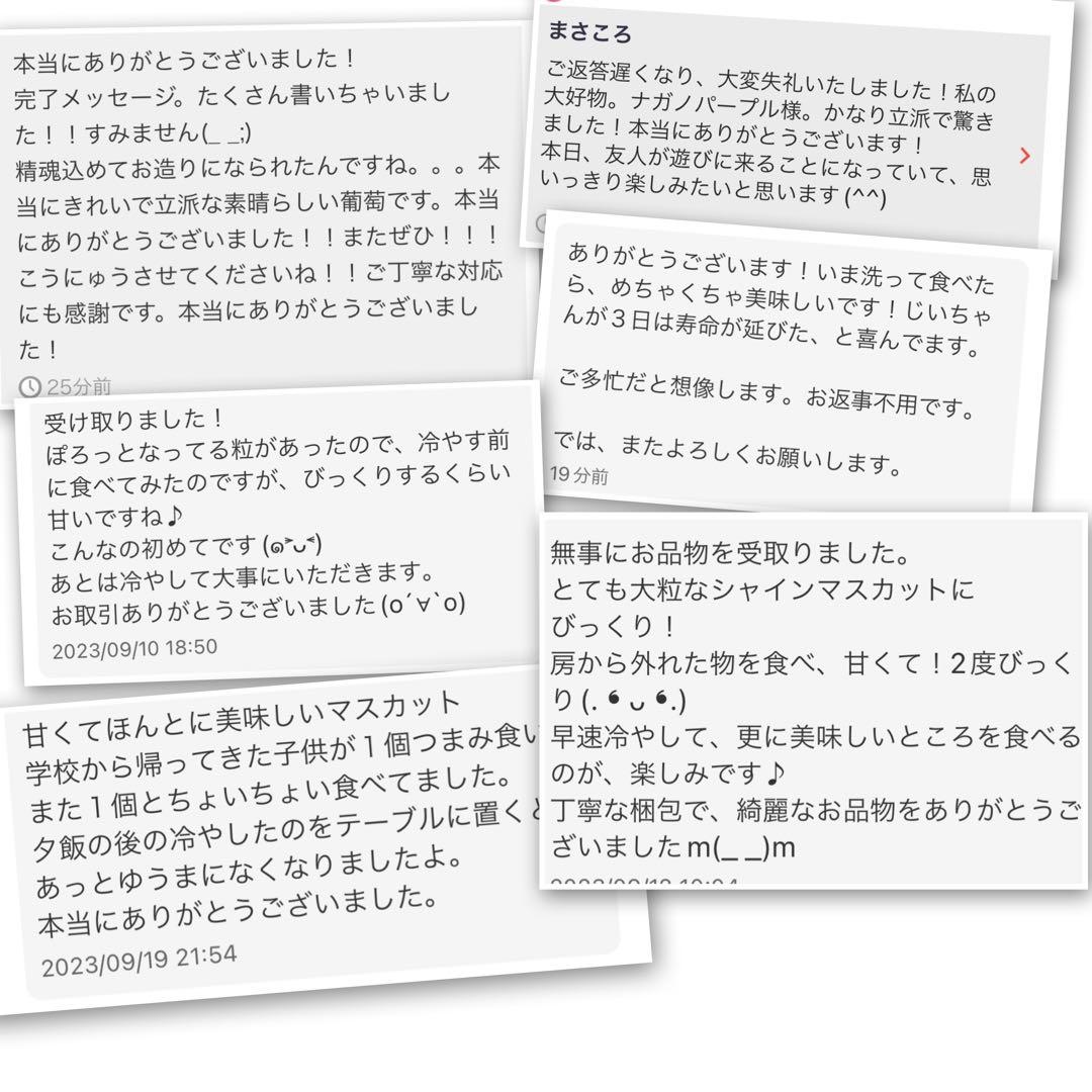 残りわずか☆シャインマスカット　4kg /クイーンルージュ、2キロも出品中