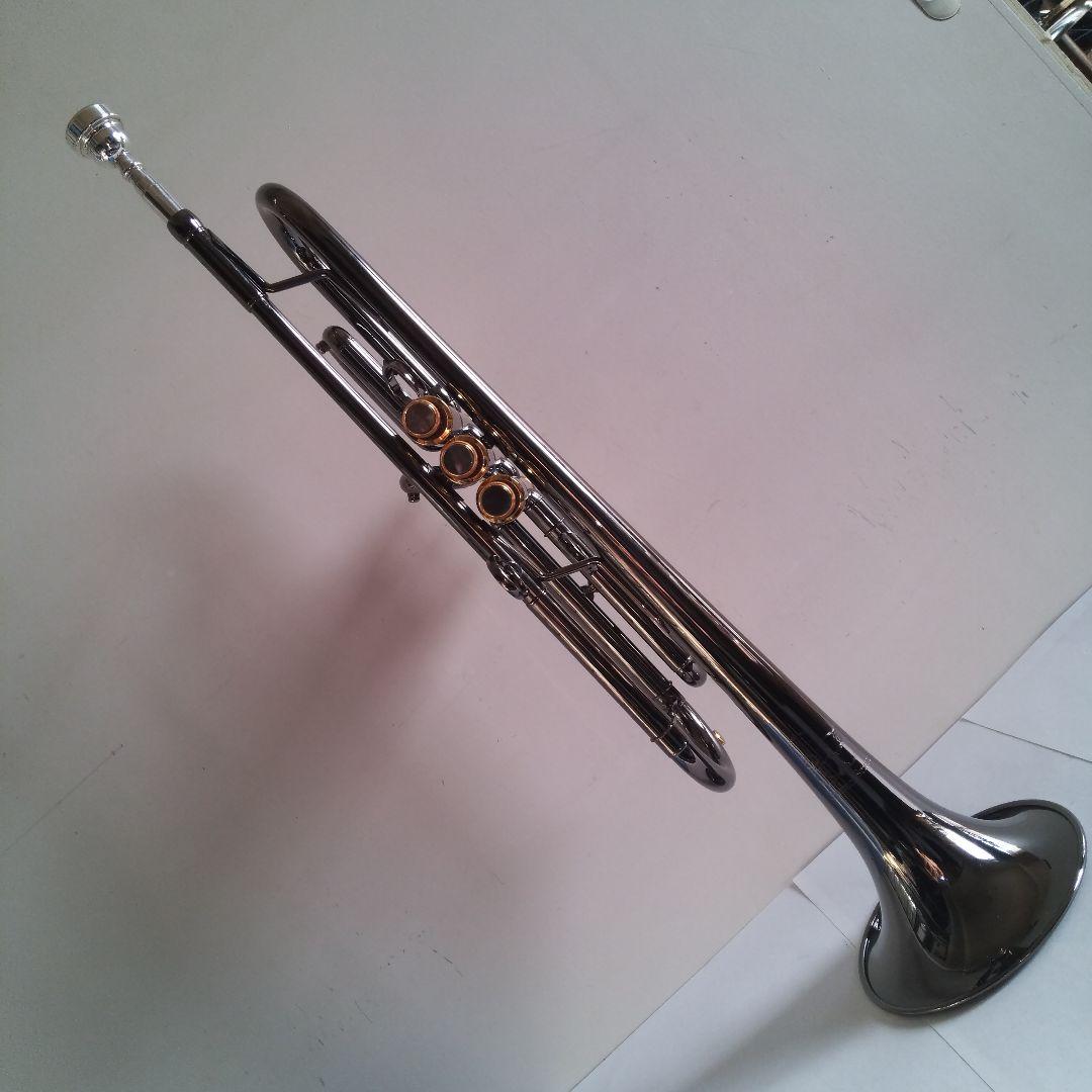 トランペット Queen Brass Zorro
