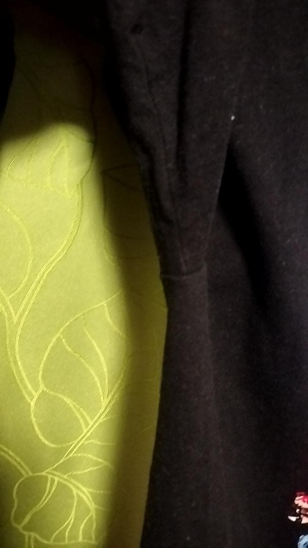 BRUTAL TRUTH 長袖Tシャツ(1995)