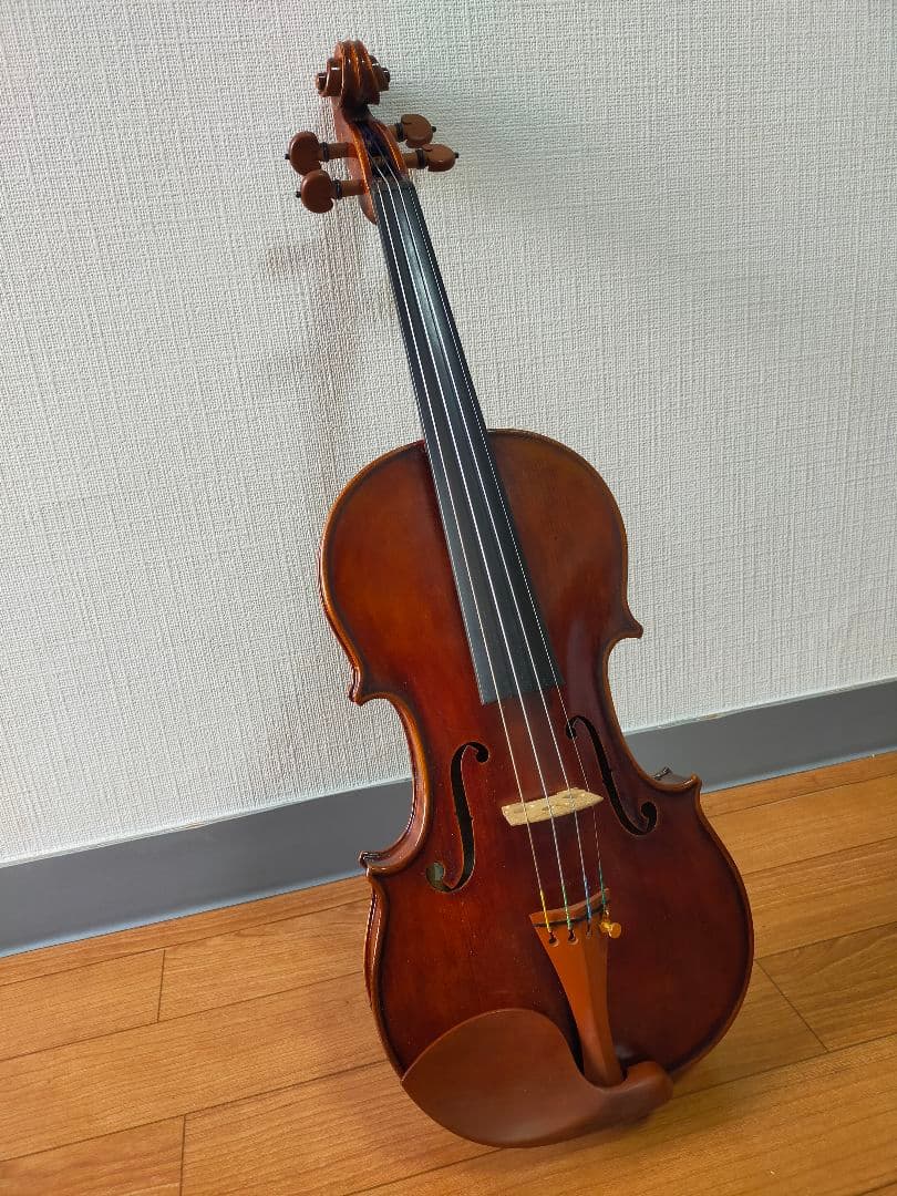 ヴァイオリン（a comtemporary violin）