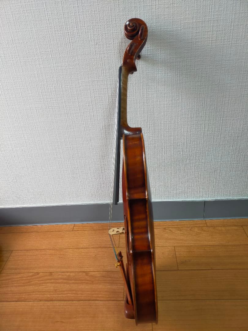 ヴァイオリン（a comtemporary violin）