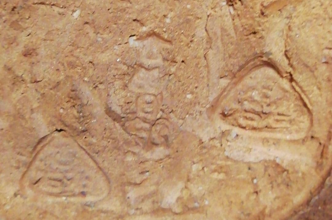 五代　五十嵐信平作　古曽部焼　刷毛目　茶碗　共箱　茶道具