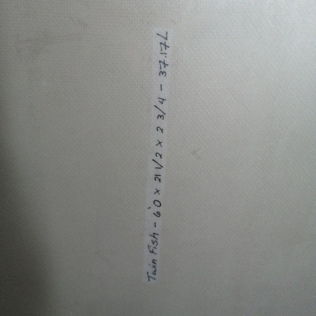 エレメント　ツインフィッシュ　EPS