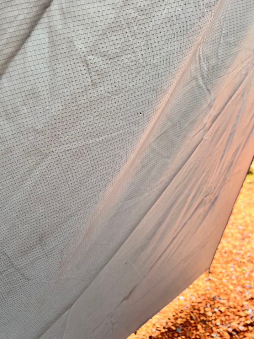 ニーモ　ヘキサライト 6p