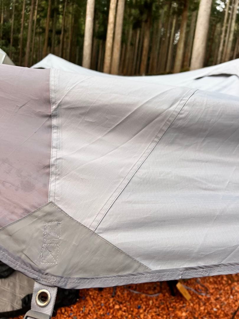 ニーモ　ヘキサライト 6p