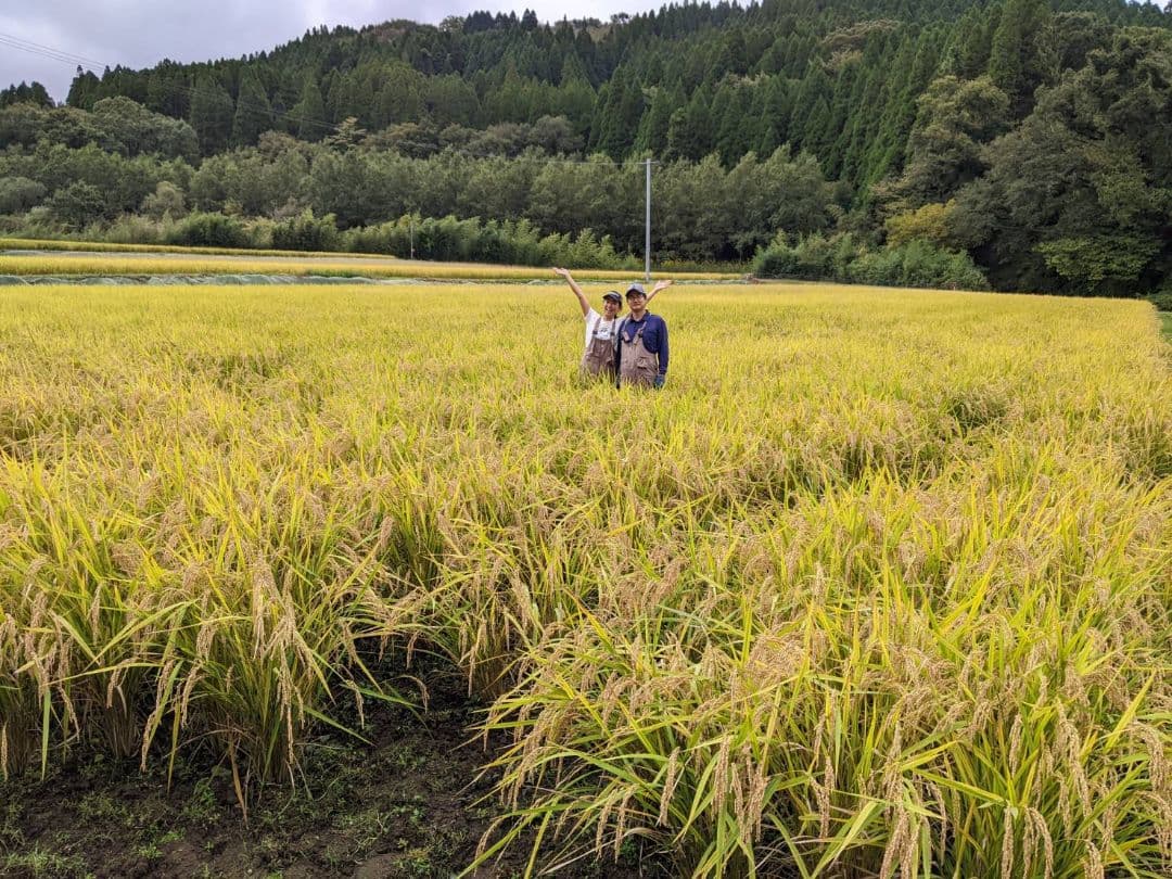 ★自然栽培米　玄米10kg　令和7年度　熊本県産　森のくまさん★