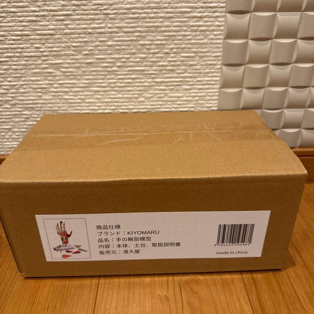 手解剖模型 7パーツ分解 等身大 軟部組織付き 理は人体模型 手関節 教材