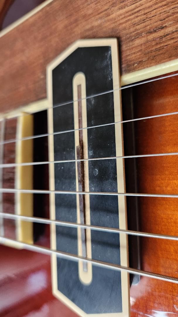 EASTMAN（イーストマン）AR-605E　中古