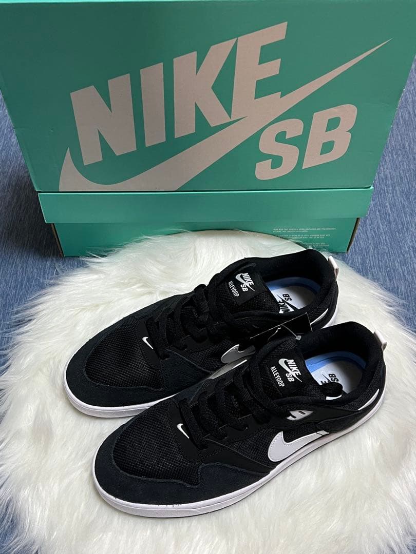 NIKE SB ALLEYOOPナイキ SB アリウープ ナイキ 28㎝