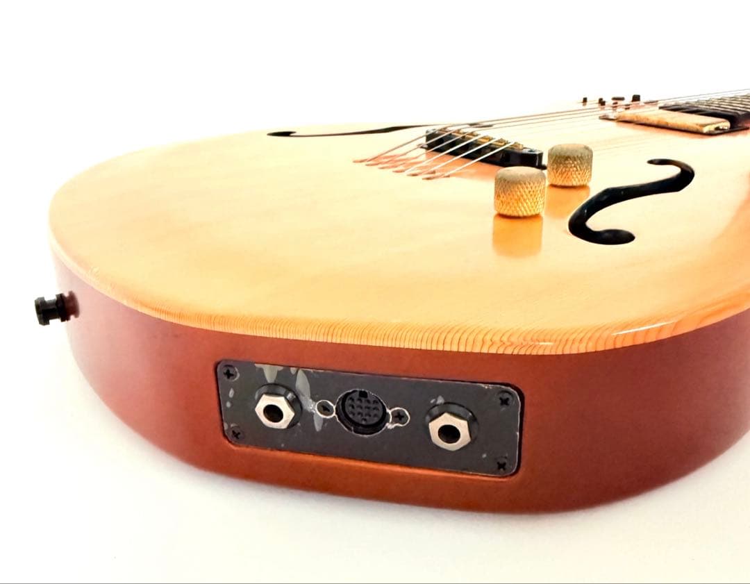 【希少】GODIN MULTIAC JAZZ SA セミアコースティックギター