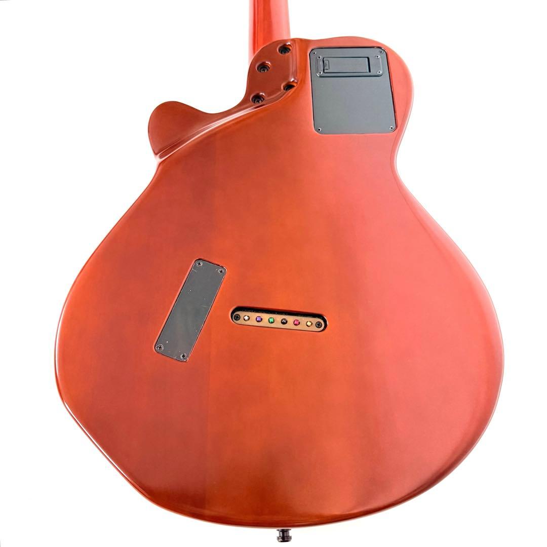 【希少】GODIN MULTIAC JAZZ SA セミアコースティックギター