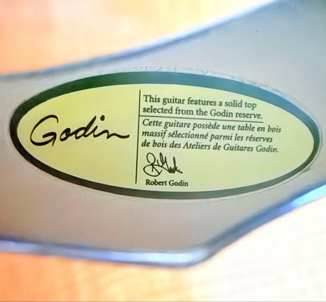 【希少】GODIN MULTIAC JAZZ SA セミアコースティックギター