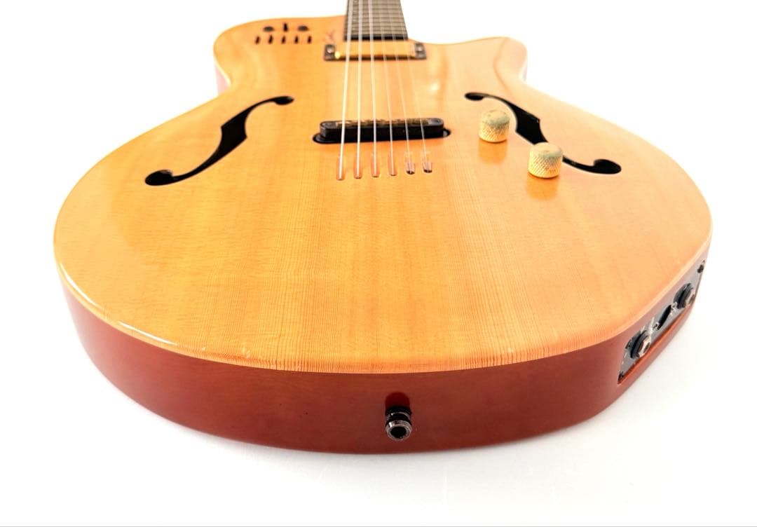 【希少】GODIN MULTIAC JAZZ SA セミアコースティックギター