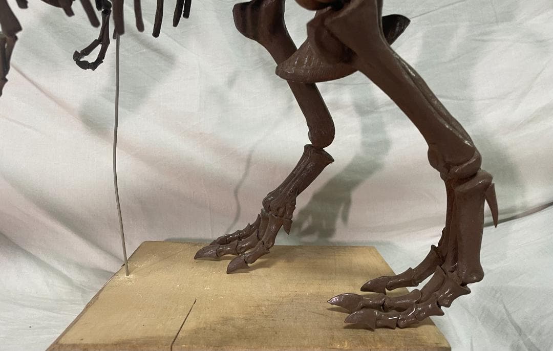 木彫　Tyrannosaurus rex 1/10　全身骨格模型 約97cm