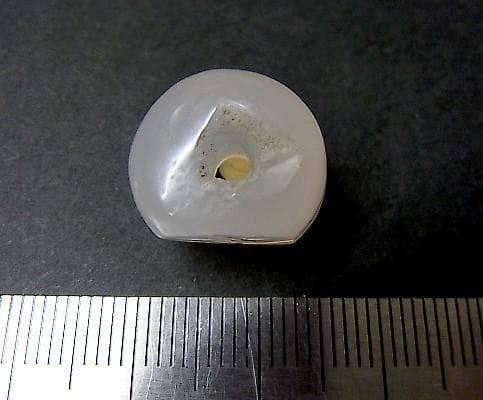 ★B1207★古代石 (262) 美品　西アジア　印章石　カルセドニー　花彫刻