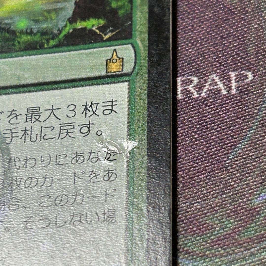 訳アリ日本語Foil《壌土からの生命/Life from the Loam》初版