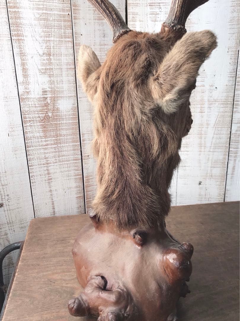 ヴィンテージ　鹿　剥製　土台付き