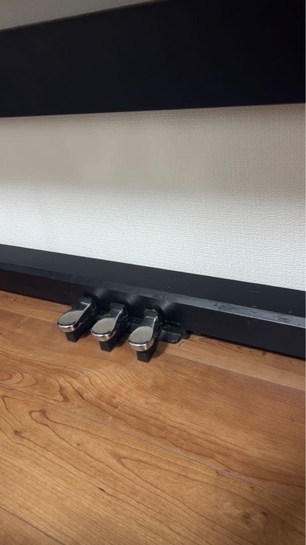 CASIO Privia PX-770 【直接引き渡し限定】