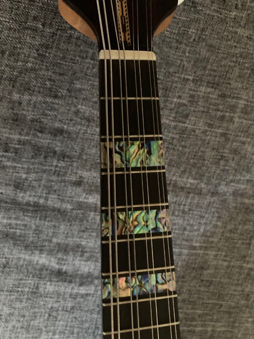 マンドリン（サウンドエナ M-160）ケース付き