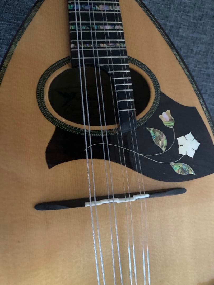 マンドリン（サウンドエナ M-160）ケース付き