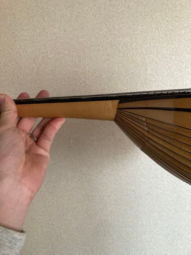 マンドリン（サウンドエナ M-160）ケース付き