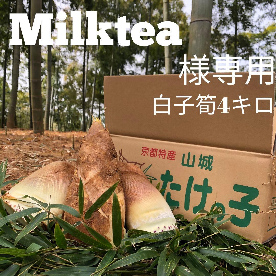 Milktea 白子筍 4キロ