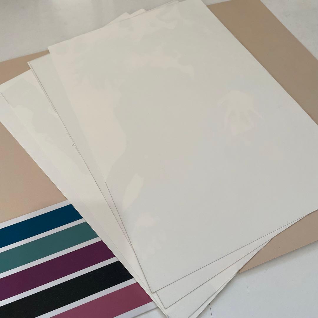 ヴァンパイア騎士 ポートレート LaLa 応募者全員