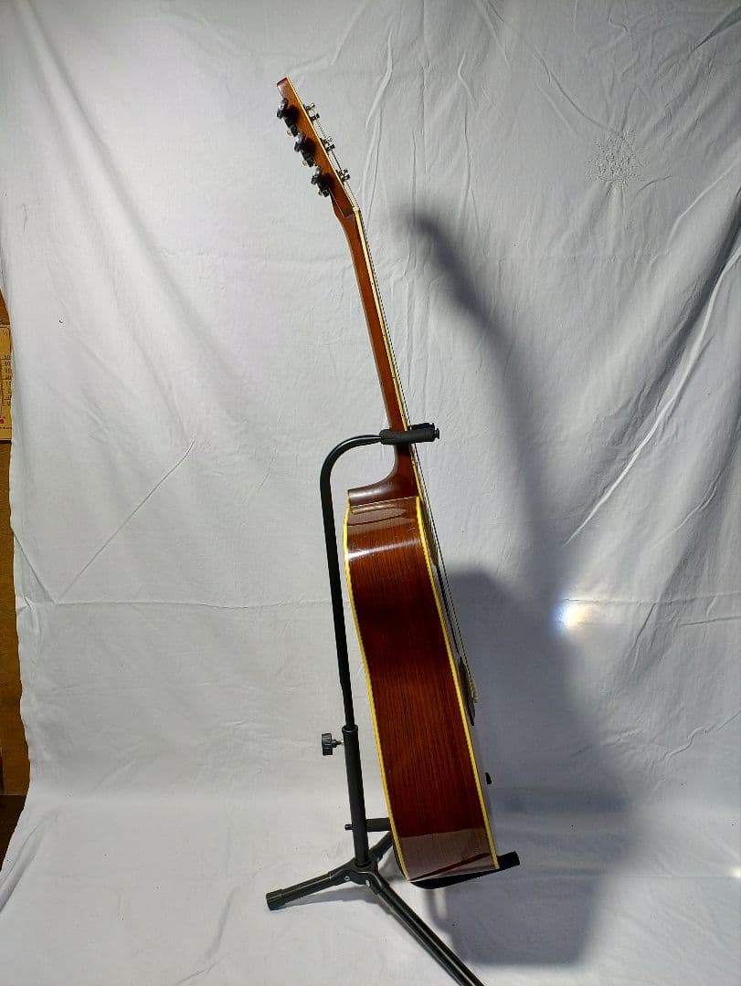 旧縦ロゴ morris 　special