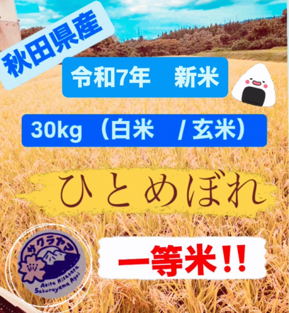★【着払い】令和7年 ‪新米 ひとめぼれ 30kg 秋田県産 産地直送★