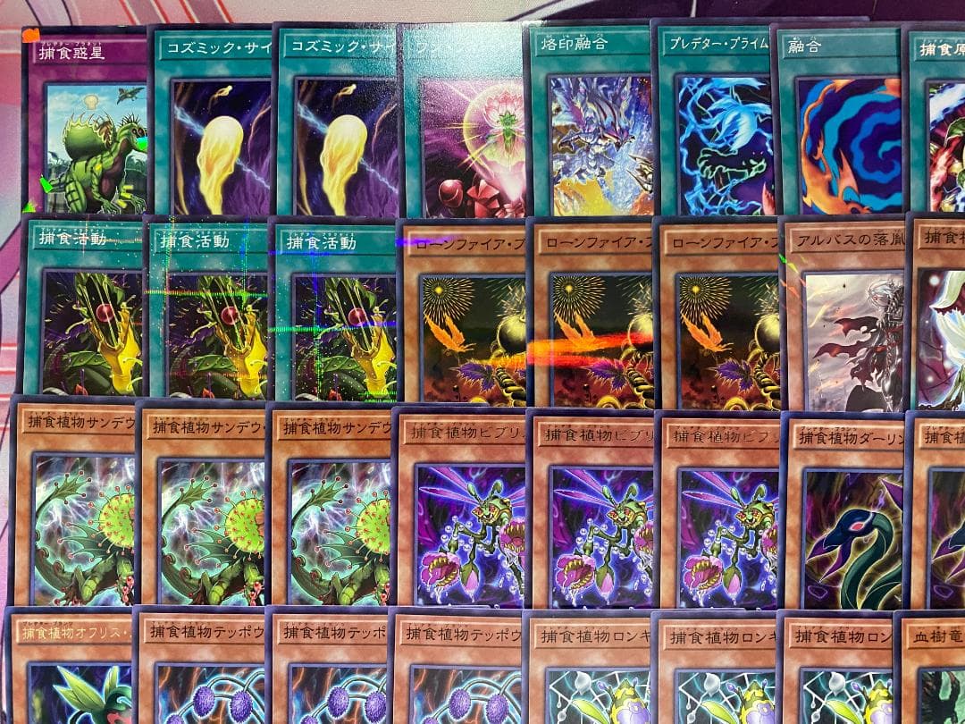 002　遊戯王　烙印捕食植物　プレデタープランツ　本格構築済みデッキ　ドラセレア