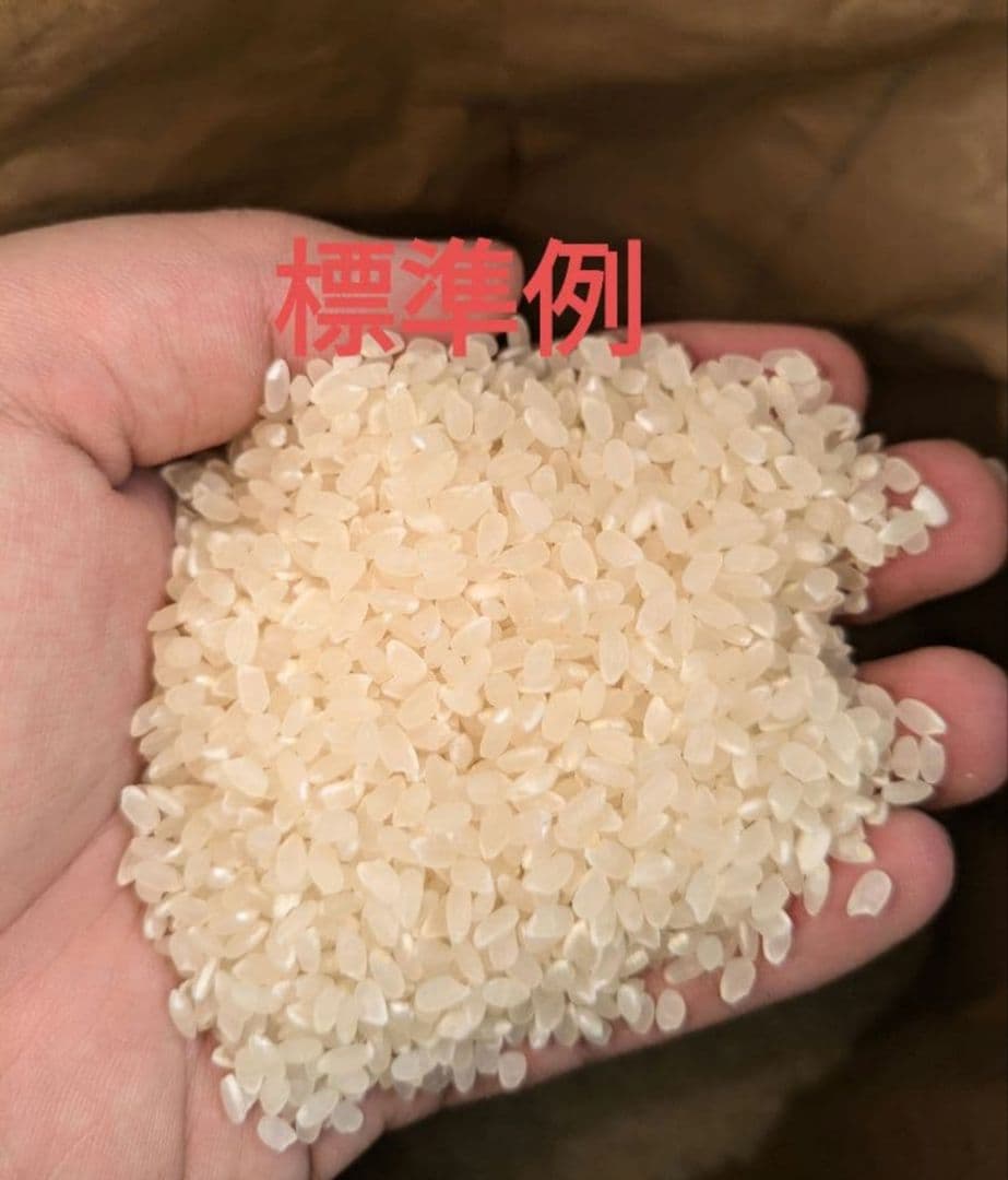 精米無料　令和7年度宮城県産　ひとめぼれ30キロ