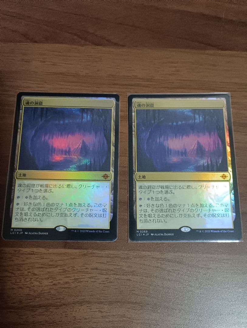 MTG 魂の洞窟（日）foil 2枚セット〔Lcl〕