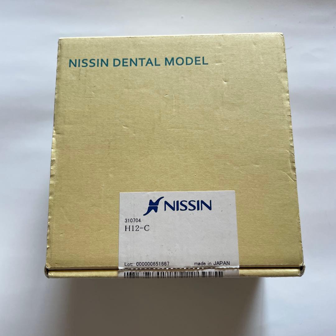 NISSINスタディモデルゴム枠・永久歯顎用 丸型 [H12-C]