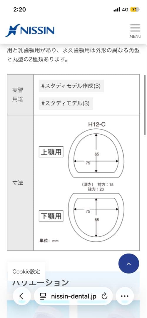 NISSINスタディモデルゴム枠・永久歯顎用 丸型 [H12-C]