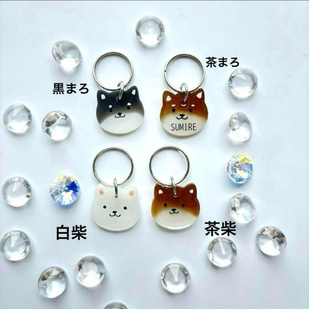 オーダー注文《 数量限定》柴犬種類選択 》迷子札　犬　名札