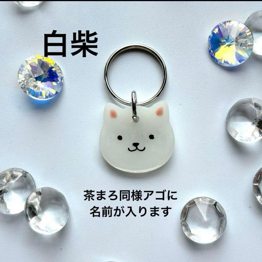 オーダー注文《 数量限定》柴犬種類選択 》迷子札　犬　名札