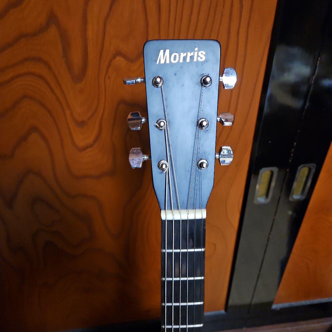 Morris アコースティックギター ドレッドノートMD501japan