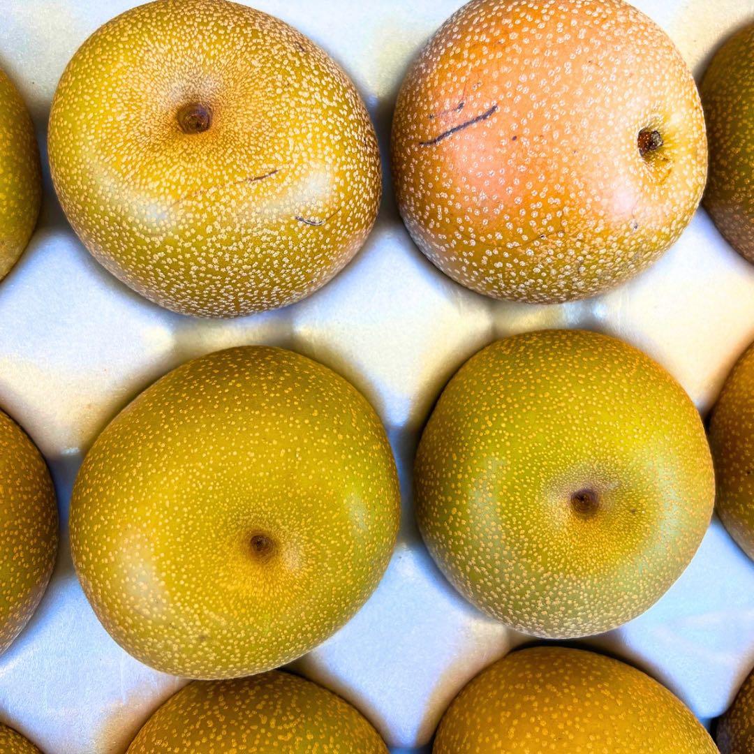 梨　豊水梨　家庭用　　86