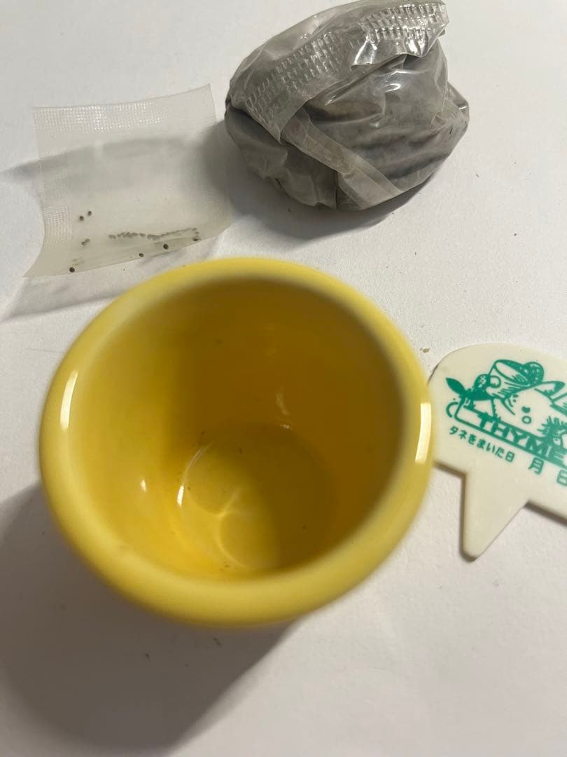 ポケモン　ポケットガーデン　ピカチュウ 陶器 植木鉢