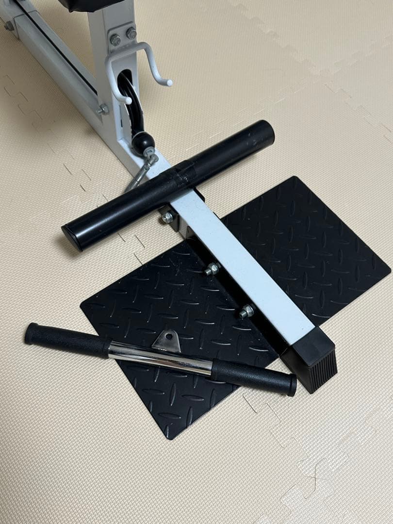 ワイルドフィット　WILD FIT 200ラットプルマシン　ウエイトプレート付