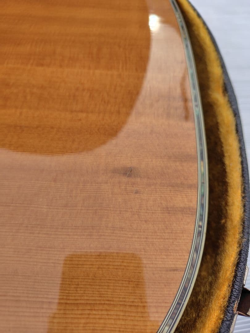 Morris W-60 アコースティックギター ハードケース付き