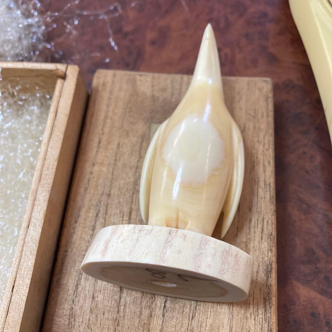 ペンギン　マッコウクジラ　歯　クジラの歯　抹香　鯨　(81g)専用箱付き