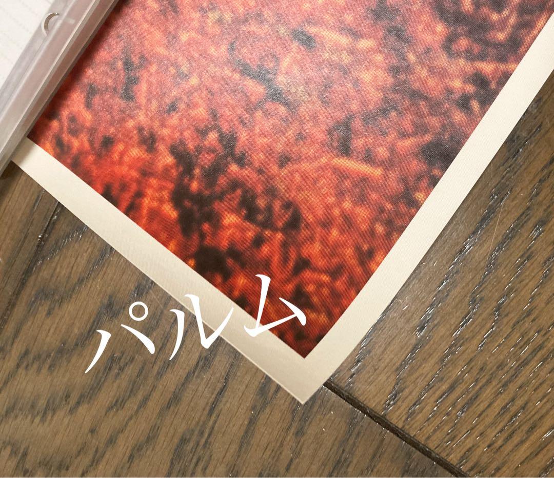 【希少】谷村新司 B2サイズ ポスター 生成【美品】