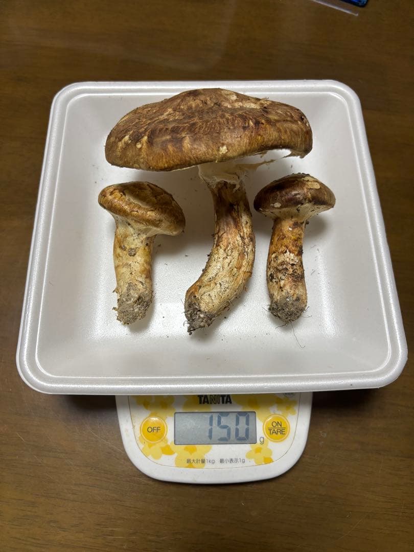 香川県産　獲れたて松茸4 3本150グラム　国産　天然物 150g